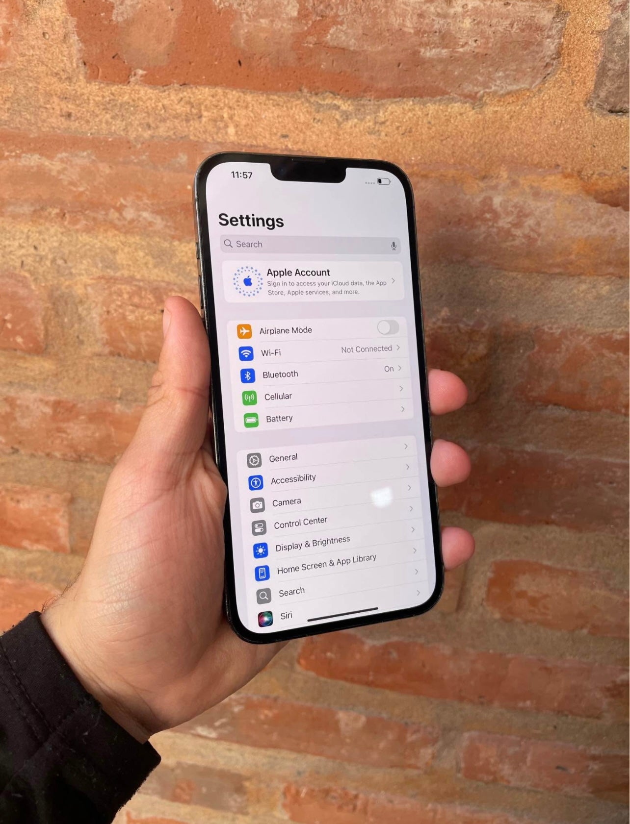 iPhone 13 Pro Max - Grafito